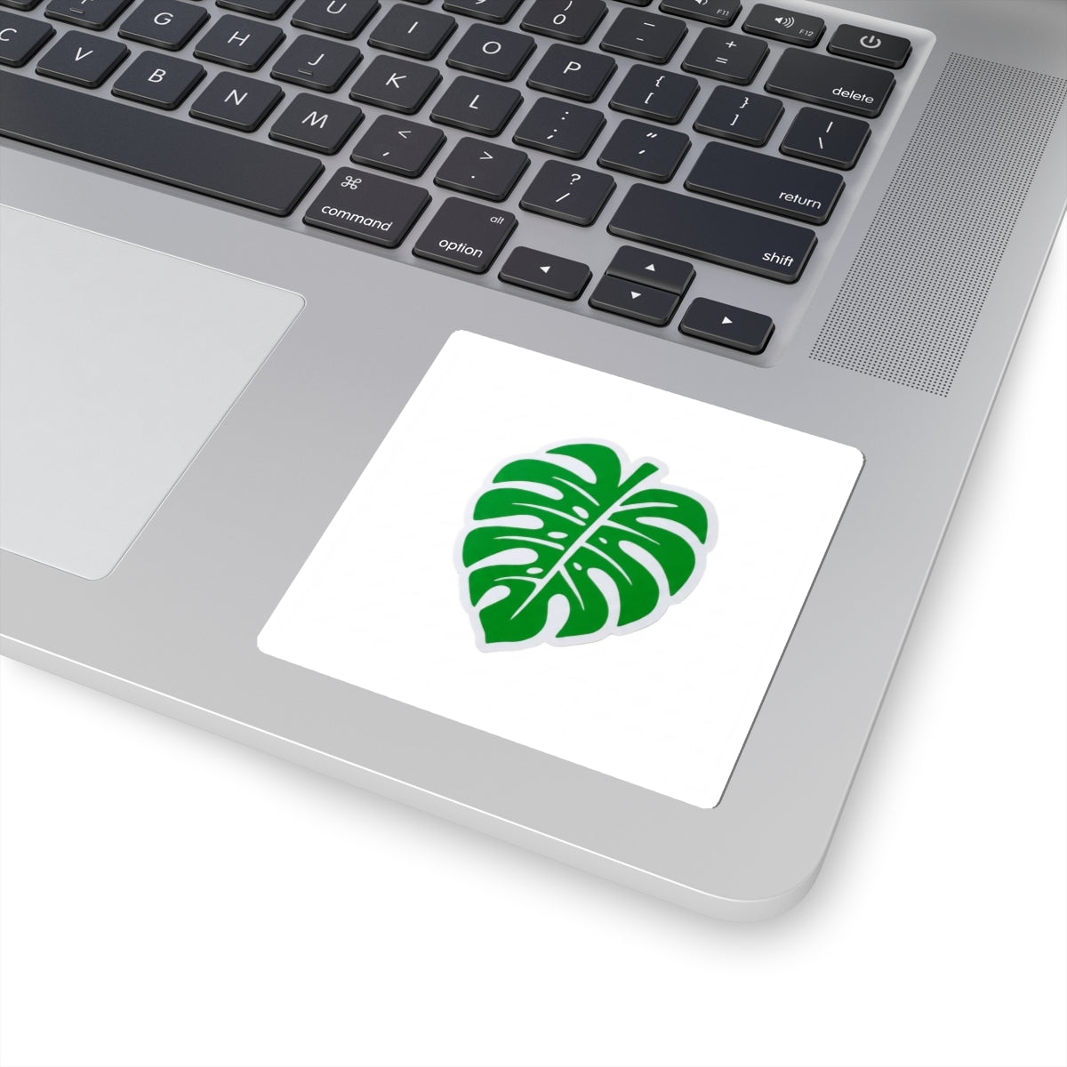 Green Leaf Sticker